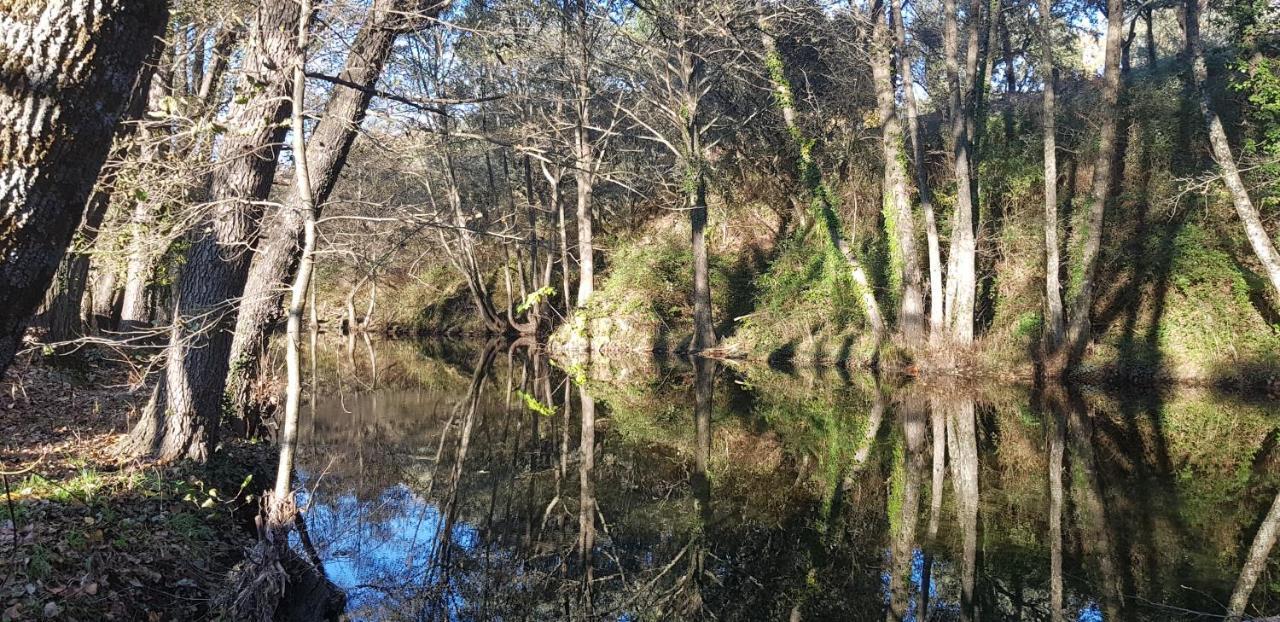 Esencia De Gredos Vendégház Ramacastanas Kültér fotó